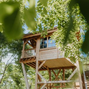 Cabane perchée en bois, entourée de feuillage verdoyant à Provence-Alpes-Côte dAzur.