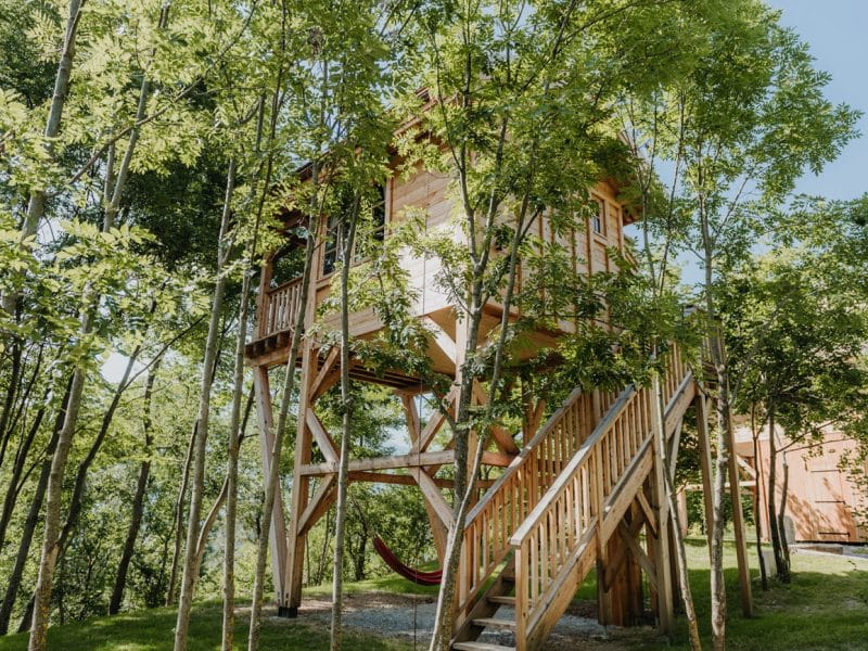Cabane dans les arbres entourée de verdure, avec une échelle en bois et un hamac.