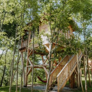 Cabane dans les arbres entourée de verdure, offrant une vue imprenable sur la nature.