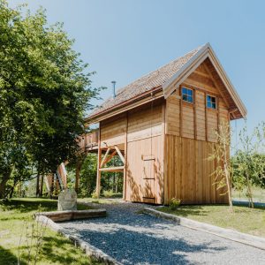 Cabane perchée en bois, entourée darbres, offrant une vue dégagée sur la nature.