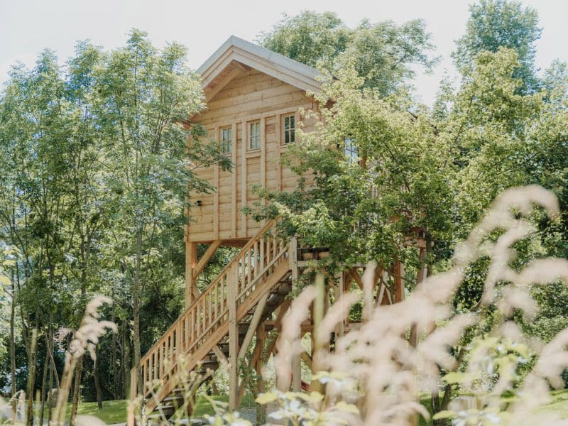 Cabane dans les arbres entourée de verdure luxuriante et de fleurs sauvages.