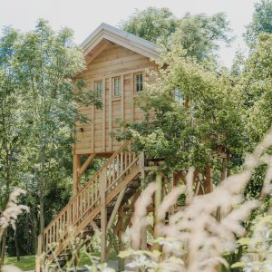 Cabane dans les arbres en Provence-Alpes-Côte dAzur, entourée de verdure luxuriante.