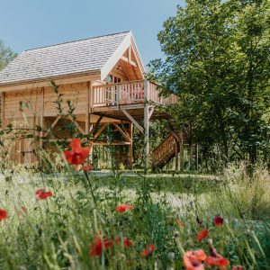 Cabane en bois perchée, entourée de fleurs sauvages et darbres verdoyants.