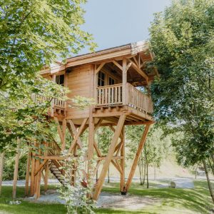 Cabane perchée en bois, entourée darbres, offrant une vue imprenable sur la nature.