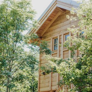 Cabane en bois perchée, entourée darbres verdoyants en Provence-Alpes-Côte dAzur.