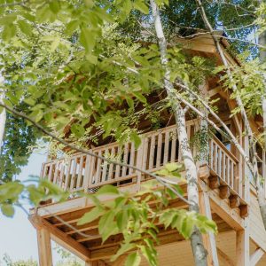 Cabane perchée en bois, entourée darbres, offrant une vue imprenable sur la nature.