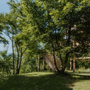 Cabane en bois perchée, entourée darbres verdoyants en Provence-Alpes-Côte dAzur.
