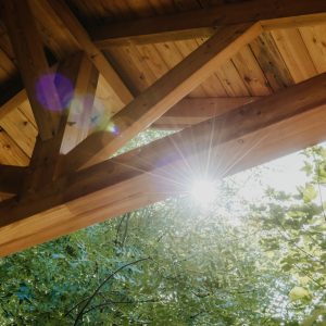 Cabane en bois en Provence-Alpes-Côte dAzur, lumière du soleil filtrant à travers les feuilles.