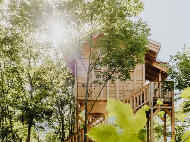 Cabane perchée en bois, entourée darbres, baignée de lumière naturelle.