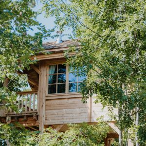 Cabane perchée en bois, entourée darbres verdoyants en Provence-Alpes-Côte dAzur.
