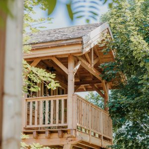 Cabane en bois perchée, entourée de verdure, offrant une vue paisible sur la nature.