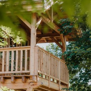 Cabane en bois perchée, entourée de verdure, offrant une vue apaisante.