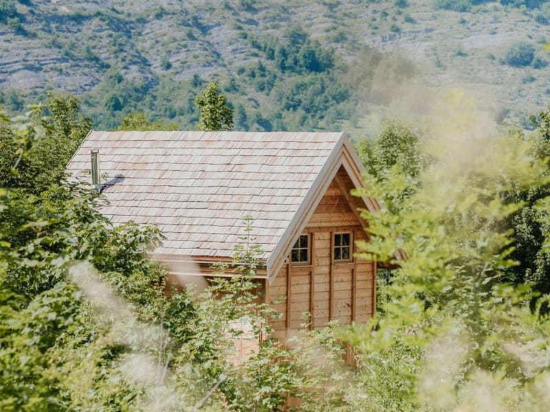 Cabane en bois entourée de verdure, avec un toit en bardeaux.