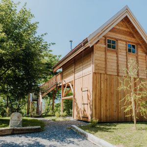 Cabane en bois perchée, entourée darbres verdoyants en Provence-Alpes-Côte dAzur.