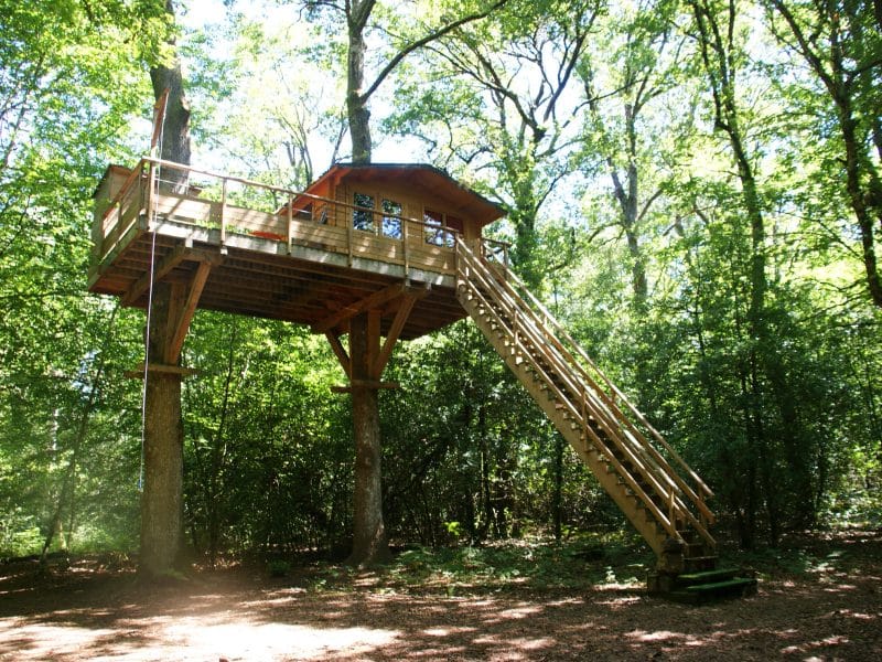 Cabane perchée dans les arbres, entourée de verdure, avec un accès par une échelle en bois.
