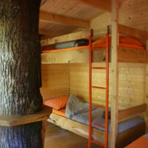 Cabane en bois avec lits superposés, arbre traversant la pièce.