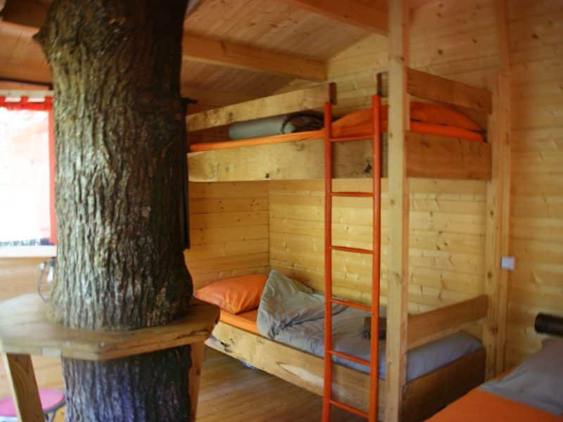 Cabane en bois avec lits superposés, arbre traversant la pièce.