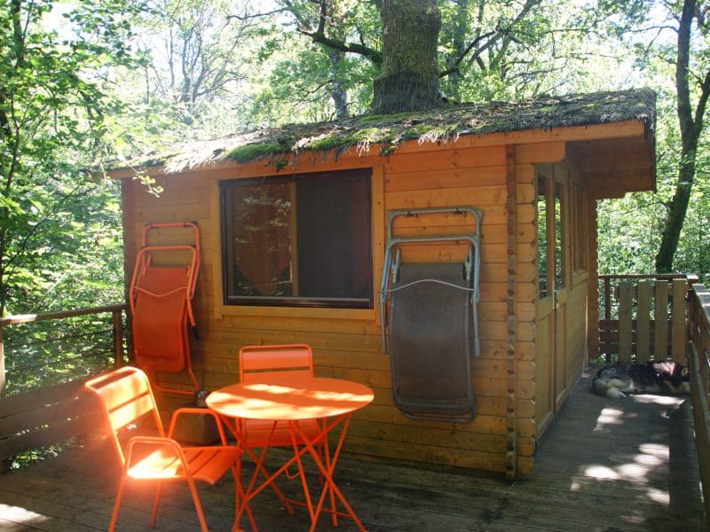 Cabane en bois dans les arbres avec terrasse et mobilier orange.