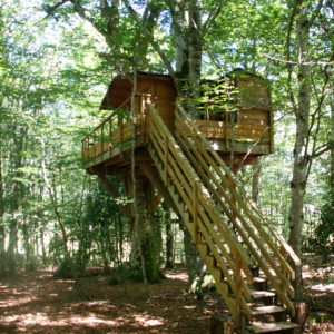 Cabane dans les arbres avec une terrasse en bois, entourée de verdure.