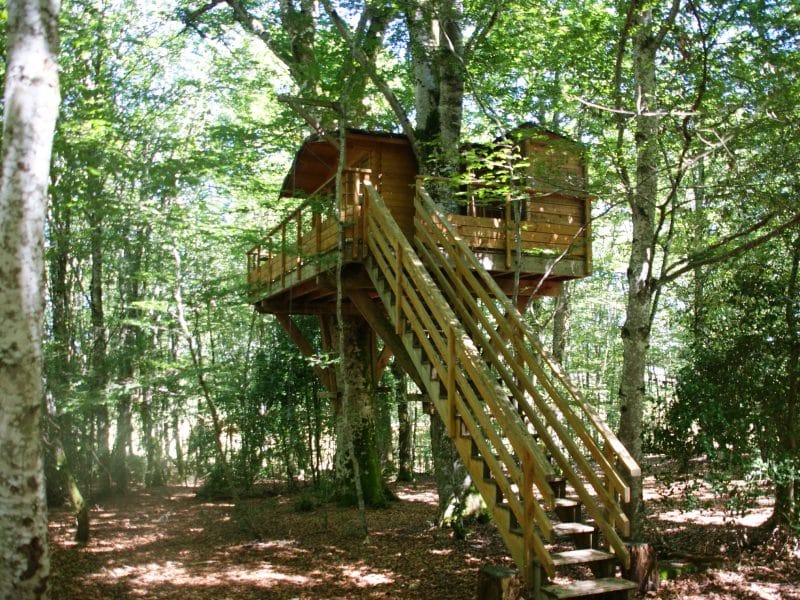Cabane dans les arbres avec une terrasse en bois, entourée de verdure.
