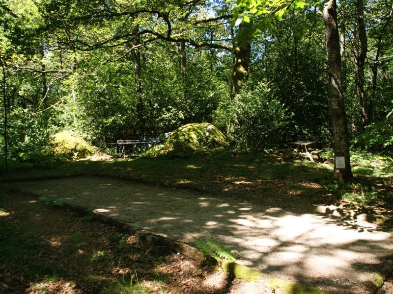 Emplacement de camping ombragé avec tentes et table en bois, entouré de verdure.
