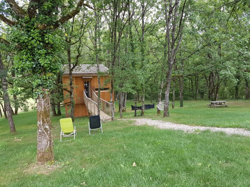 Cabane en bois entourée darbres, avec chaises de jardin et aire de pique-nique.