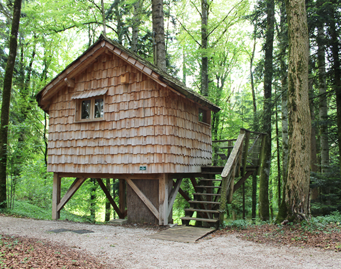 Cabane perchée en bois dans les arbres, entourée dune forêt verdoyante.