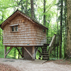 Cabane perchée en bois dans les arbres, entourée dune forêt verdoyante.