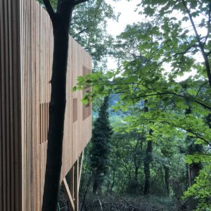 Cabane en bois perchée, entourée darbres verdoyants en Auvergne-Rhône-Alpes.