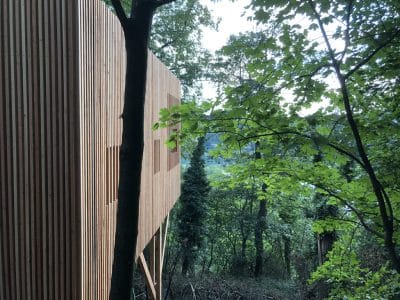 Cabane en bois perchée, entourée darbres verdoyants en Auvergne-Rhône-Alpes.