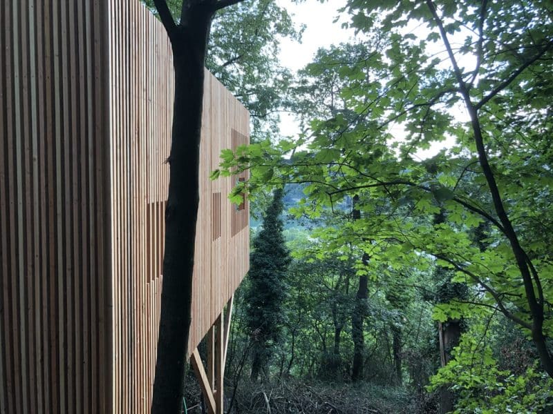 Cabane en bois perchée, entourée darbres verdoyants en Auvergne-Rhône-Alpes.