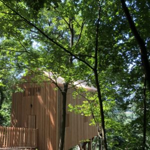 Cabane perchée en bois au cœur des arbres, entourée de verdure luxuriante.
