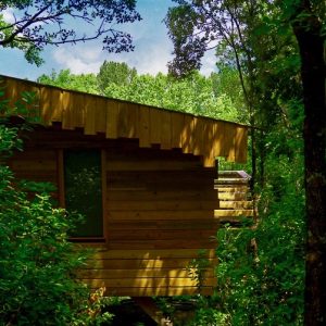 Cabane en bois nichée dans la verdure luxuriante du Languedoc-Roussillon.