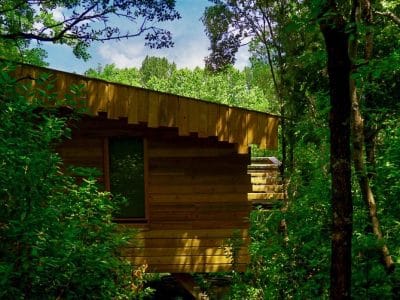 Cabane en bois nichée dans la verdure luxuriante du Languedoc-Roussillon.
