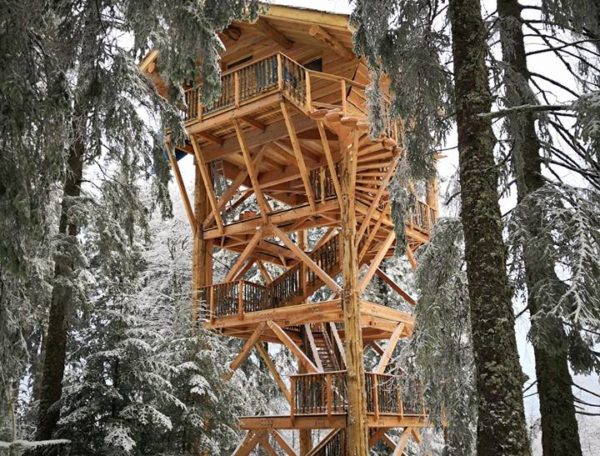 Cabane perchée  à 14m de haut en Auvergne