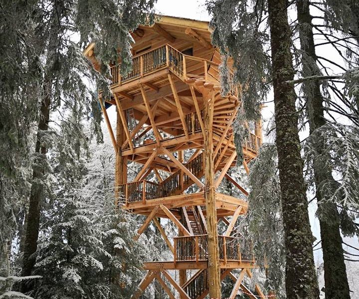 Cabane perchée en bois au cœur des arbres, entourée de neige scintillante.