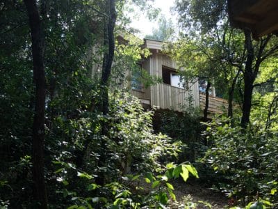 Cabane en bois perchée, entourée de verdure luxuriante à Languedoc-Roussillon.