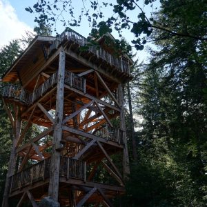 Cabane perchée en bois au cœur des arbres en Auvergne, vue panoramique.