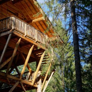 Cabane perchée en bois au cœur de la forêt dAuvergne, entourée darbres majestueux.