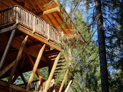 Cabane perchée en bois au cœur de la forêt dAuvergne, entourée darbres majestueux.