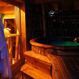 Cabane perchée en Auvergne avec jacuzzi, ambiance chaleureuse et lumineuse.