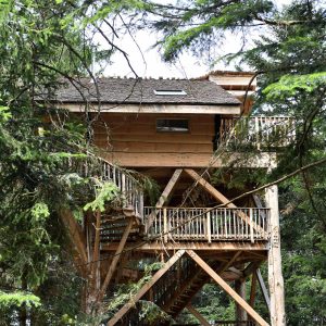 Cabane perchée en bois au cœur des arbres, offrant une vue imprenable sur la nature.