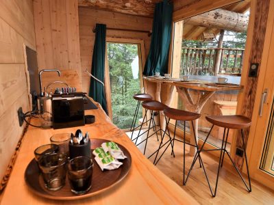 Cabane en bois en Auvergne, avec un bar en bois et vue sur la nature.