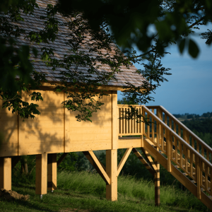 Cabane en bois perchée, entourée de verdure, offrant une vue panoramique.