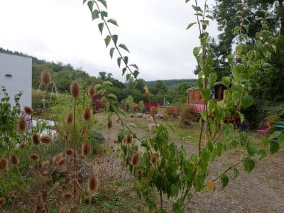 Hébergement insolite en roulotte, entouré de verdure et de fleurs sauvages.