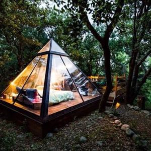 20264535_1633429220009298_9093069388083040650_n