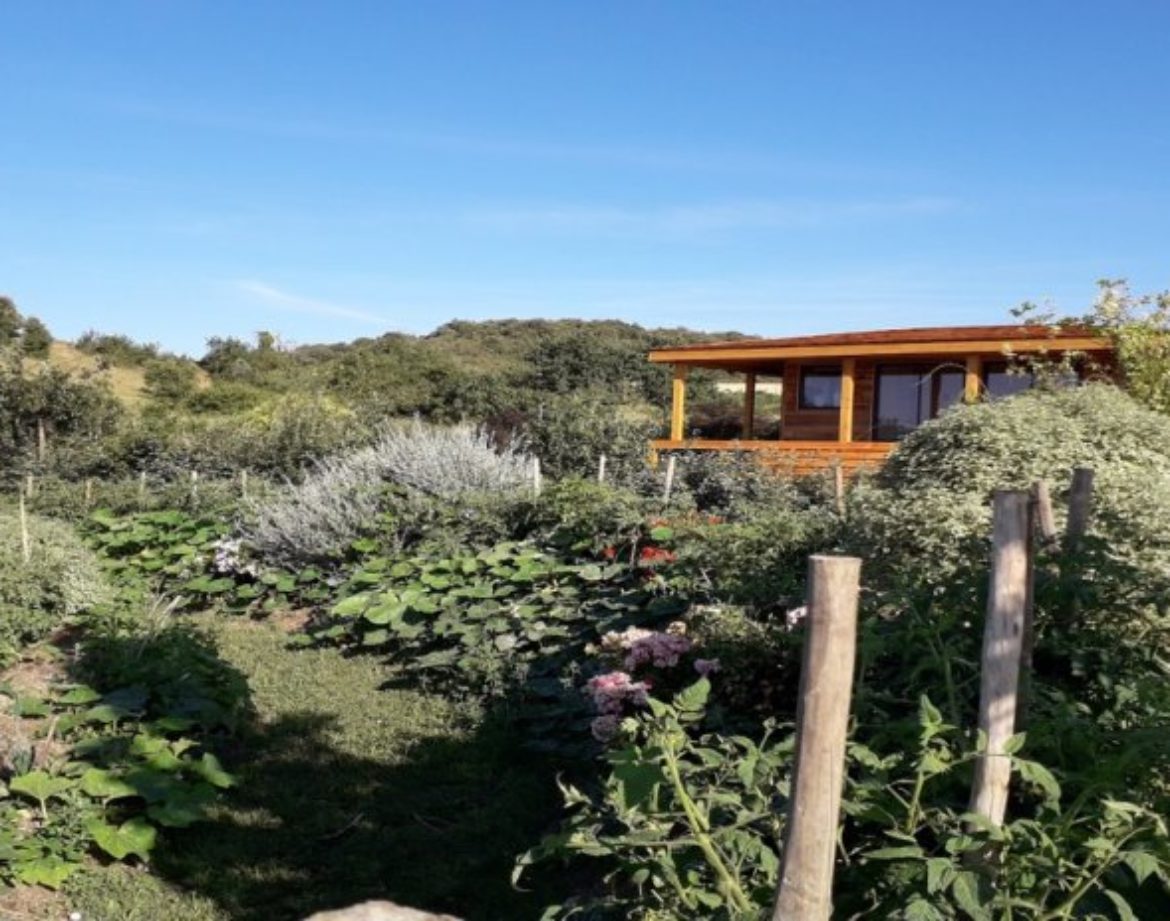 Cabane en bois au milieu dun jardin fleuri, entourée de collines verdoyantes.