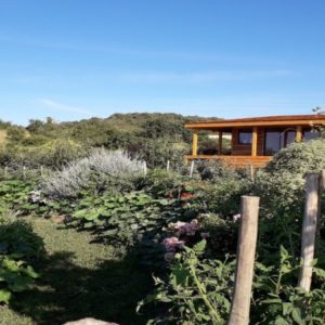 Cabane en bois au milieu dun jardin fleuri, entourée de collines verdoyantes.