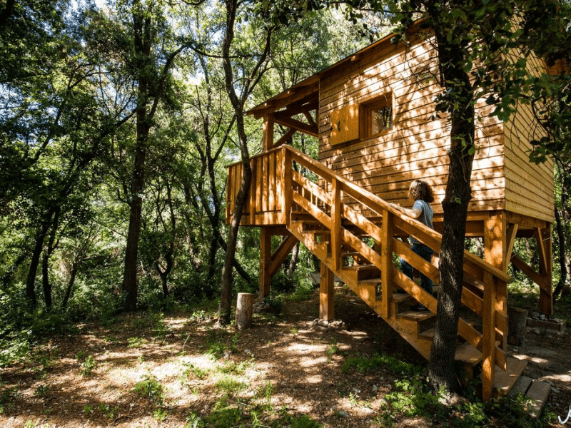 Cabane en bois perchée dans les arbres, entourée de verdure luxuriante.