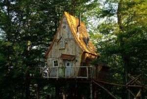 Cabane bittlejuice à la ferme des histoires mélangées